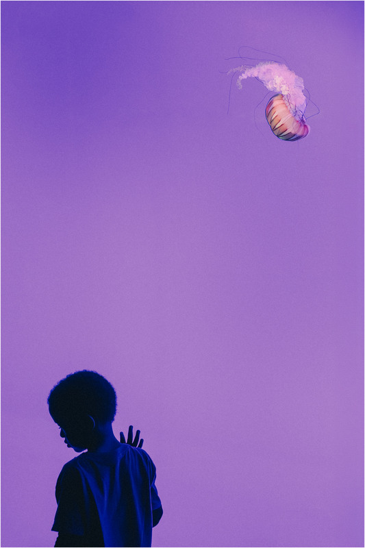 Фотографія Перший контакт / Андрій Стоянов / photographers.ua