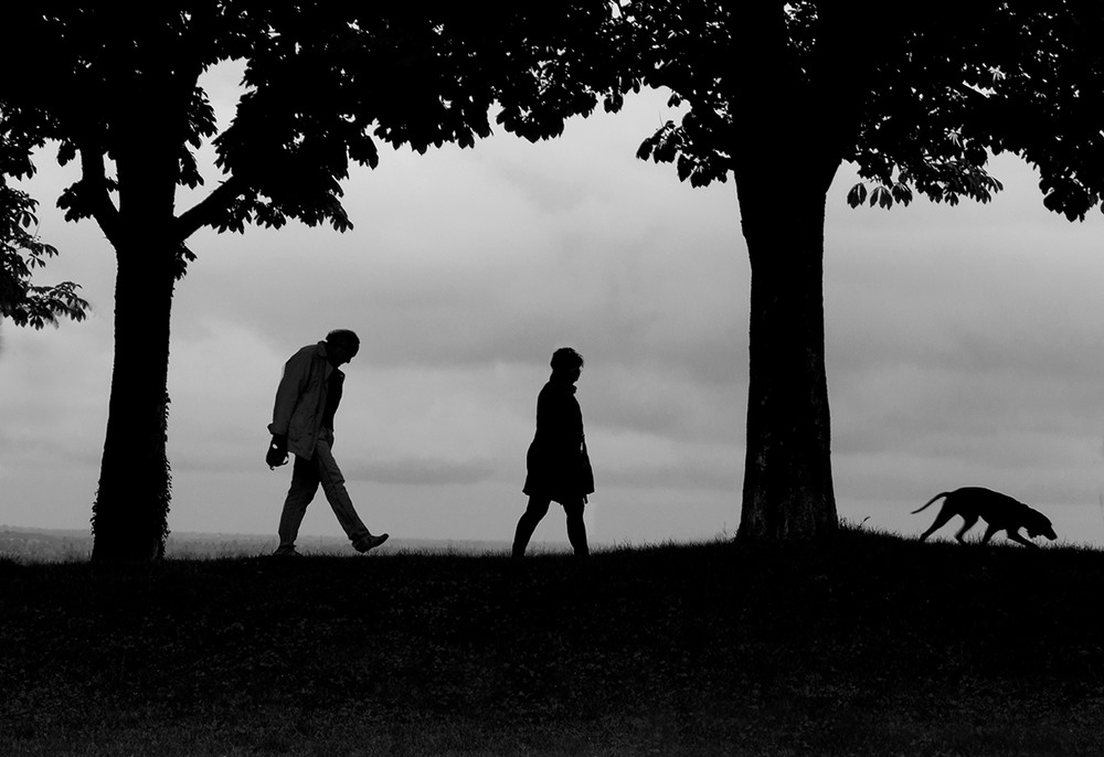 Фотографія і хто кого вигулює? / Seni Sa-n / photographers.ua