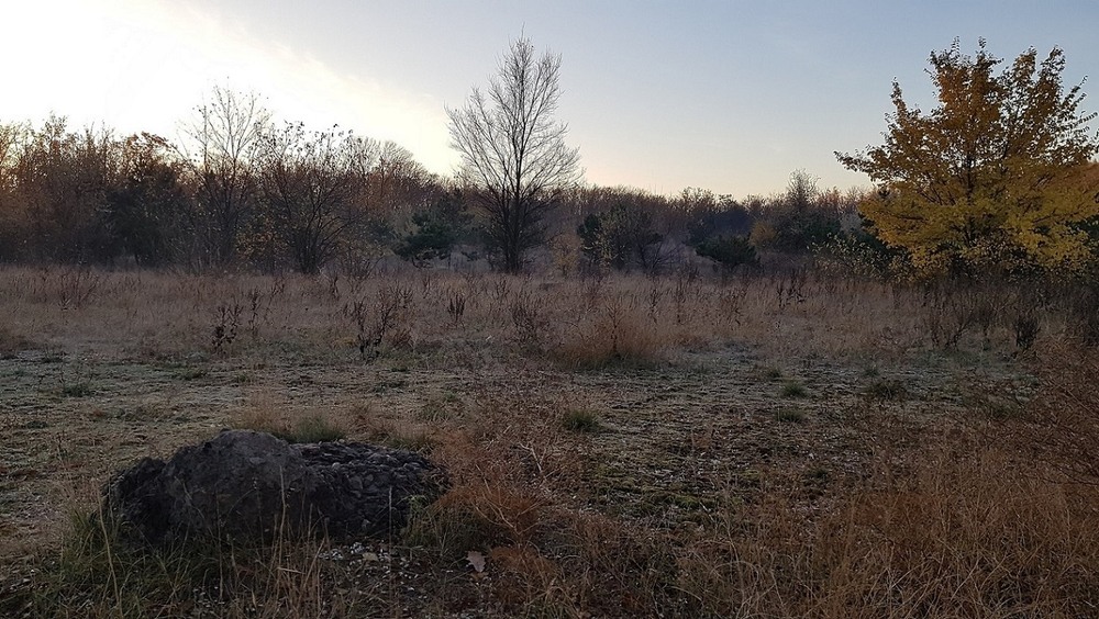 Фотографія Осінній ранок / Vitaliy Hula / photographers.ua