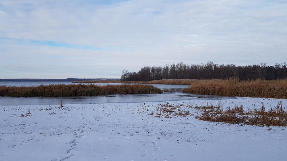 Фотографія Зимовий спокій / Vitaliy Hula / photographers.ua