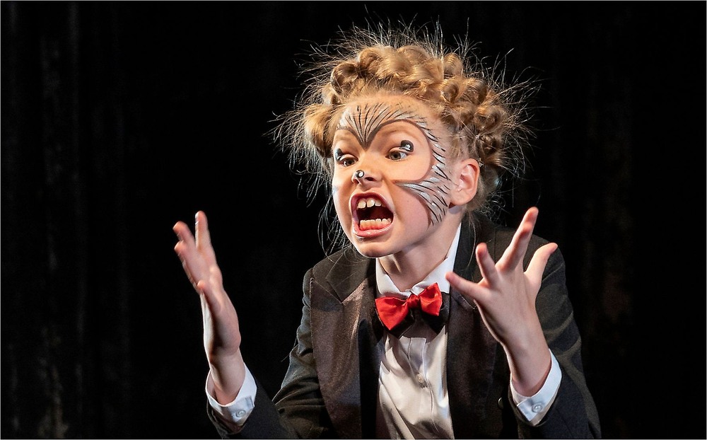 Фотографія "Йожик". / ANS / photographers.ua