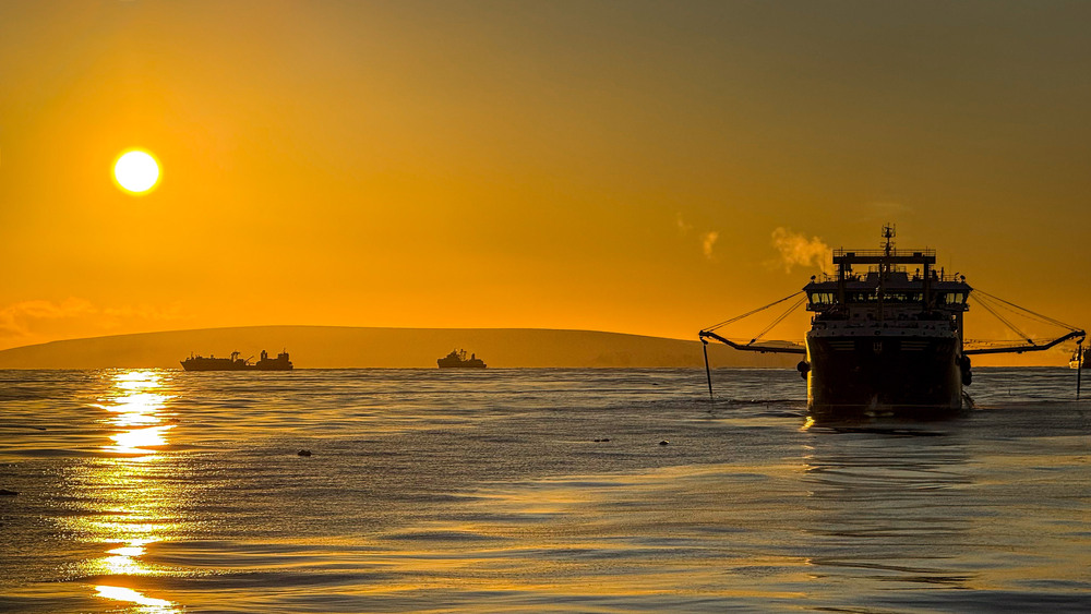 Фотографія Полярний світанок… / Oleksandr Tarasov / photographers.ua