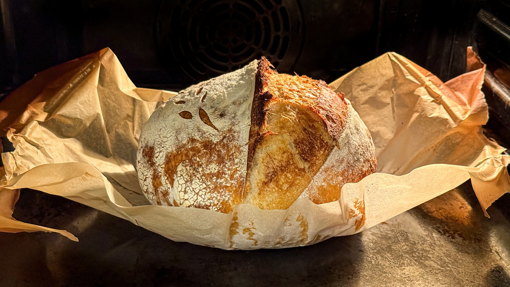 Фотографія Хліб як мистецтво / Oleksandr Tarasov / photographers.ua