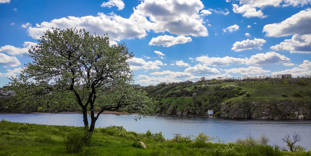 Фотографія Старий Дніпро на острові Хортиця… / Oleksandr Tarasov / photographers.ua