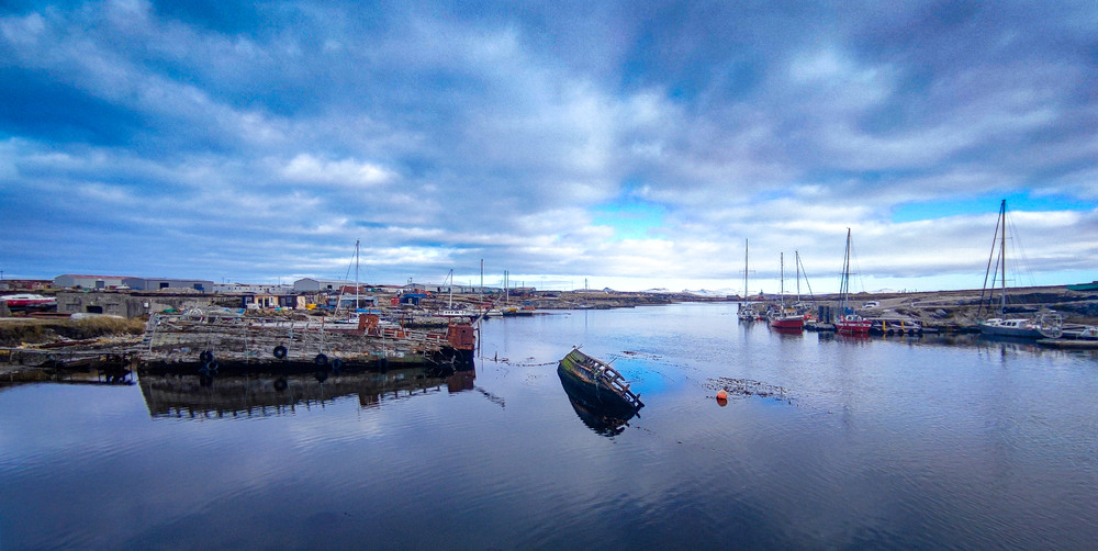 Фотографія Магія Фолклендів…. / Oleksandr Tarasov / photographers.ua