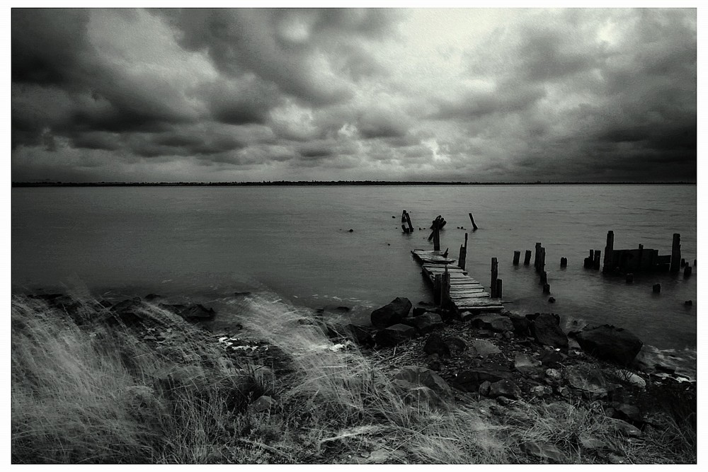 Фотографія After rain / Андрій / photographers.ua