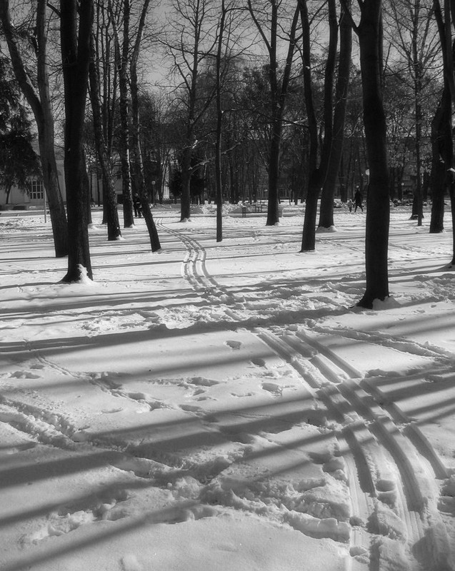 Фотографія в поисках зимних следов / Марина Орлова / photographers.ua