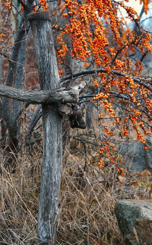 Фотографія Осень ... / Станислав Гречуха / photographers.ua