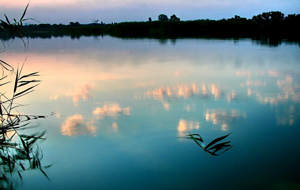 Фотографія Закат у озера / Станислав Гречуха / photographers.ua