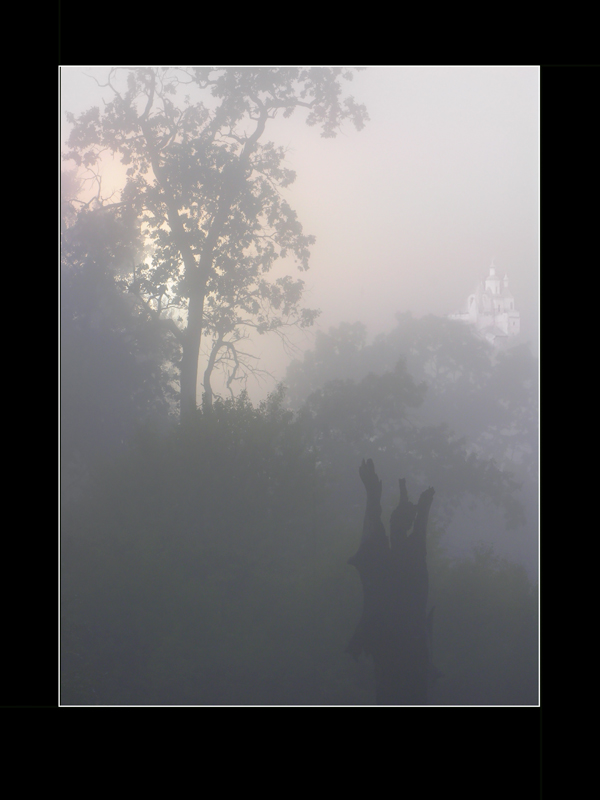 Фотографія Молитва в тумане. / LRS Aleksandr / photographers.ua