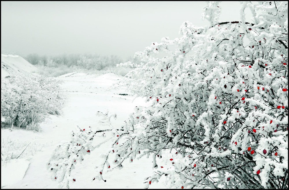 Фотографія Ещё чуть-чуть зимы / LRS Aleksandr / photographers.ua