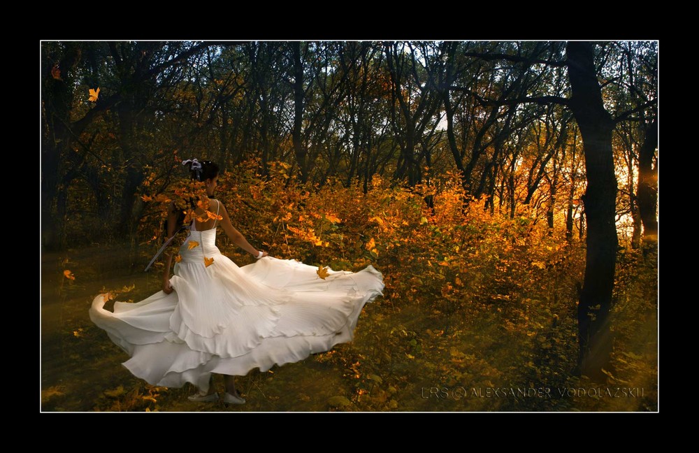 Фотографія Осень сводит с ума !!! / LRS Aleksandr / photographers.ua