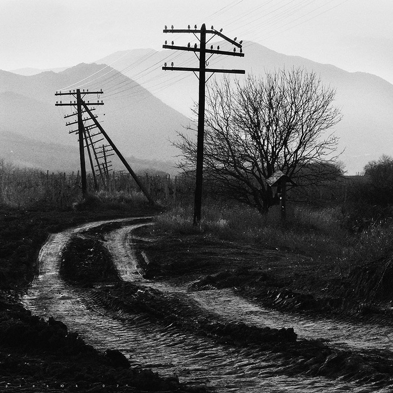 Фотографія * * * * ** * * * * / ю р і й П Л Е С Ю К / photographers.ua