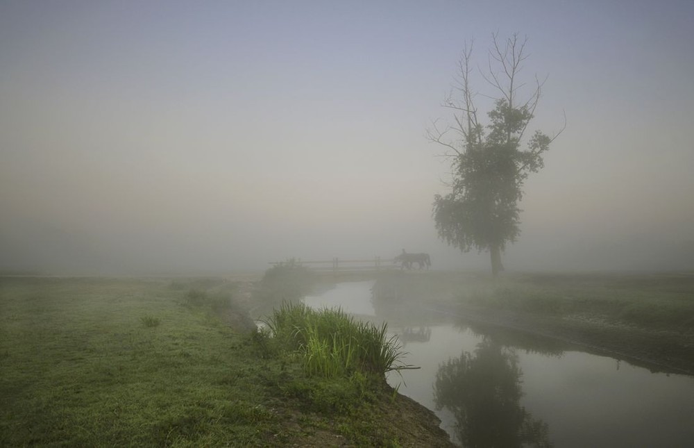 Фотографія в тумані... / Володимир Карчевський / photographers.ua