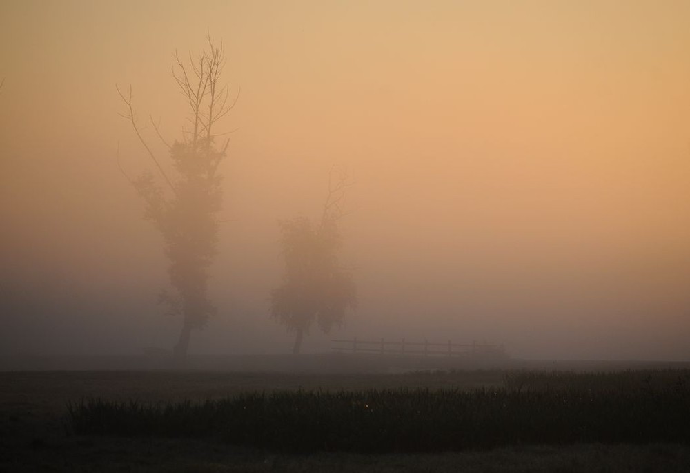 Фотографія туманний ранок / Володимир Карчевський / photographers.ua