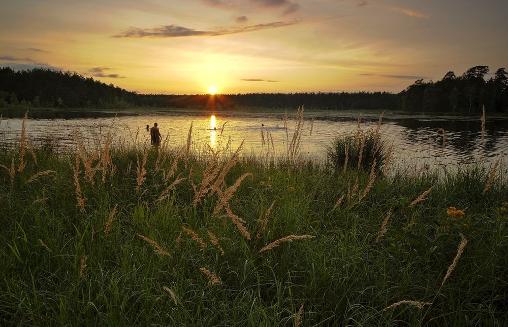 Фотографія Вечір на лісовому озері... / Володимир Карчевський / photographers.ua