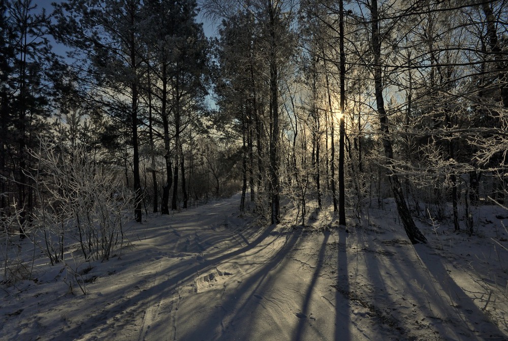 Фотографія морозяний ранок / Володимир Карчевський / photographers.ua