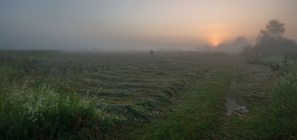 Фотографія в лугах що пахнуть травами... / Володимир Карчевський / photographers.ua