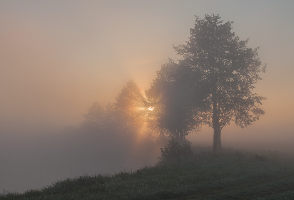 Фотографія Туман над річкою стояв / Володимир Карчевський / photographers.ua