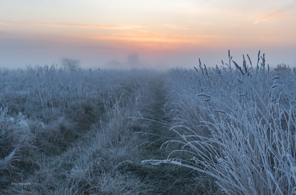 Фотографія Приморозило... / Володимир Карчевський / photographers.ua