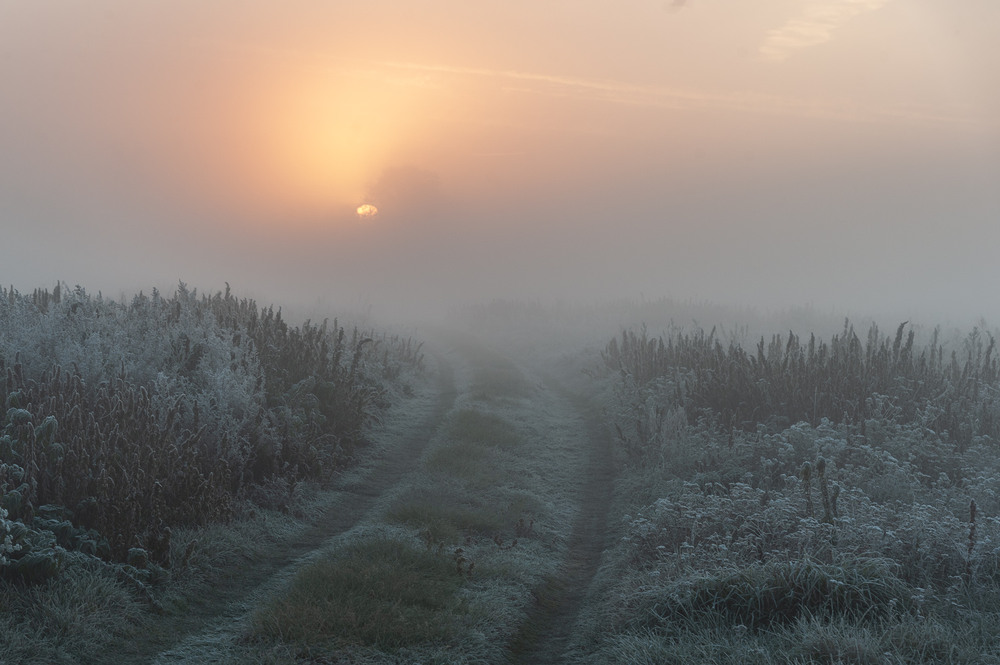 Фотографія Дорога до сонця... / Володимир Карчевський / photographers.ua