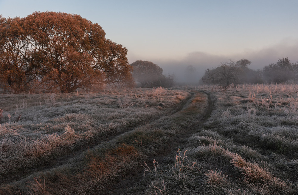 Фотографія Приморозило... / Володимир Карчевський / photographers.ua