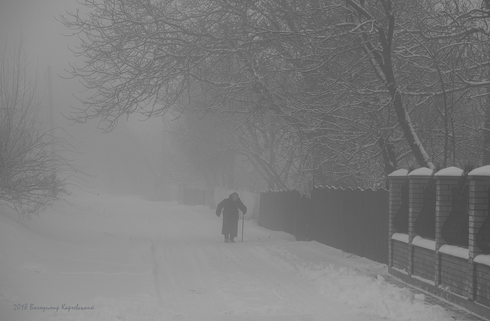 Фотографія Жанр / Володимир Карчевський / photographers.ua