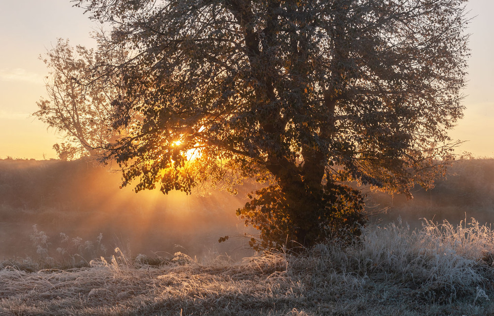 Фотографія *** / Володимир Карчевський / photographers.ua