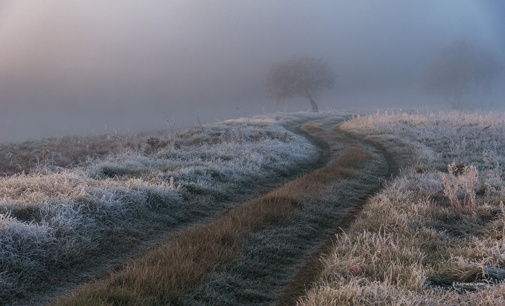 Фотографія *** / Володимир Карчевський / photographers.ua