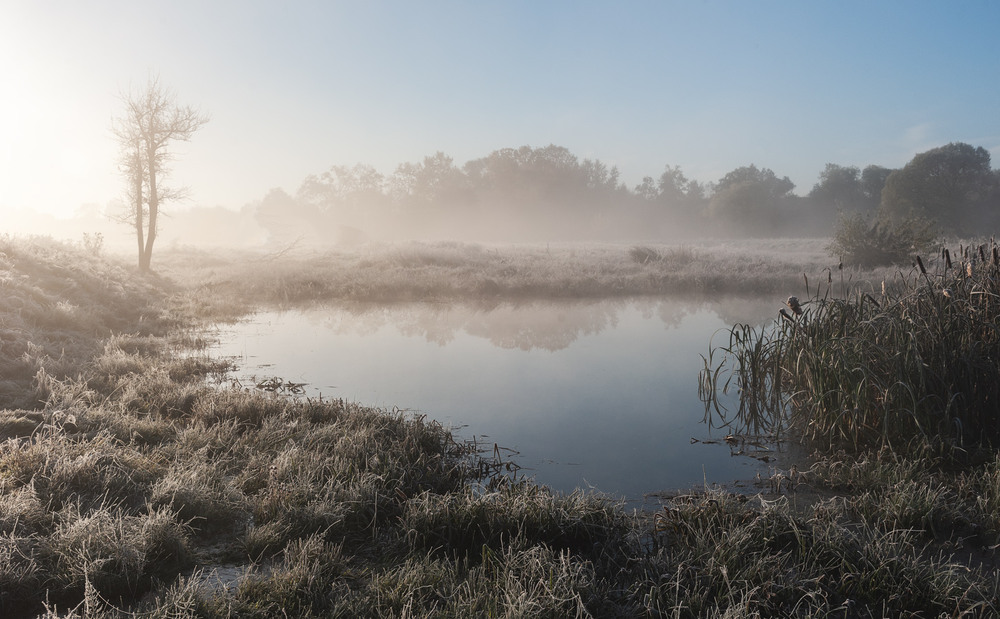 Фотографія Приморозило... / Володимир Карчевський / photographers.ua