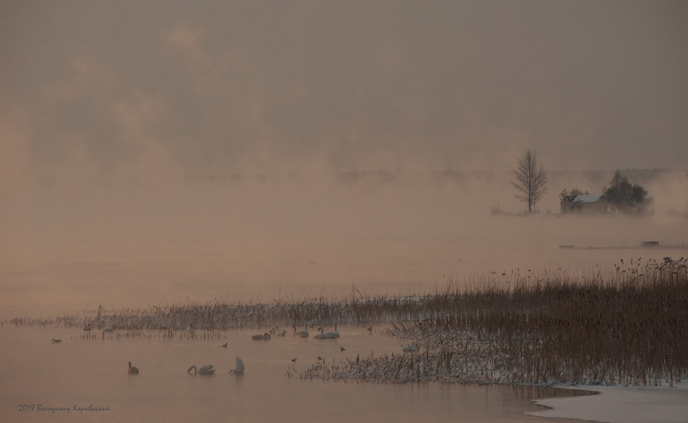 Фотографія ранок на водоймі / Володимир Карчевський / photographers.ua