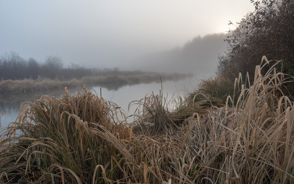Фотографія Ранок на Горині / Володимир Карчевський / photographers.ua