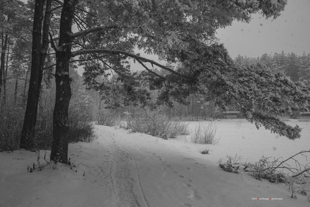 Фотографія Скоро Різдво! / Володимир Карчевський / photographers.ua