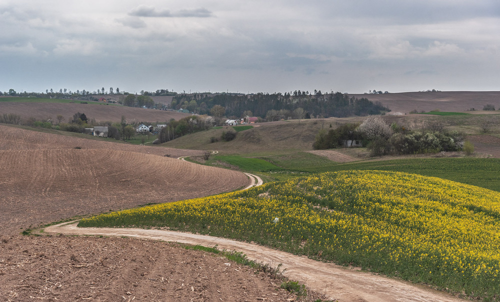 Фотографія Дорога в стежку перейшла... / Володимир Карчевський / photographers.ua