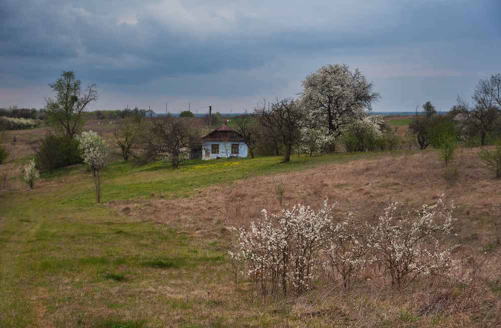 Фотографія І ще одна весна.... / Володимир Карчевський / photographers.ua