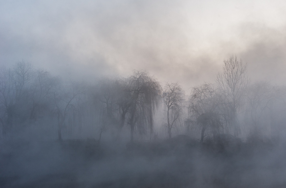 Фотографія Фантастичний Ранок... / Володимир Карчевський / photographers.ua