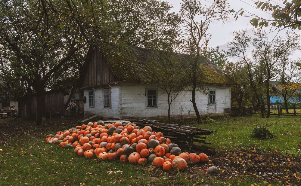 Фотографія Гарний врожай / Володимир Карчевський / photographers.ua