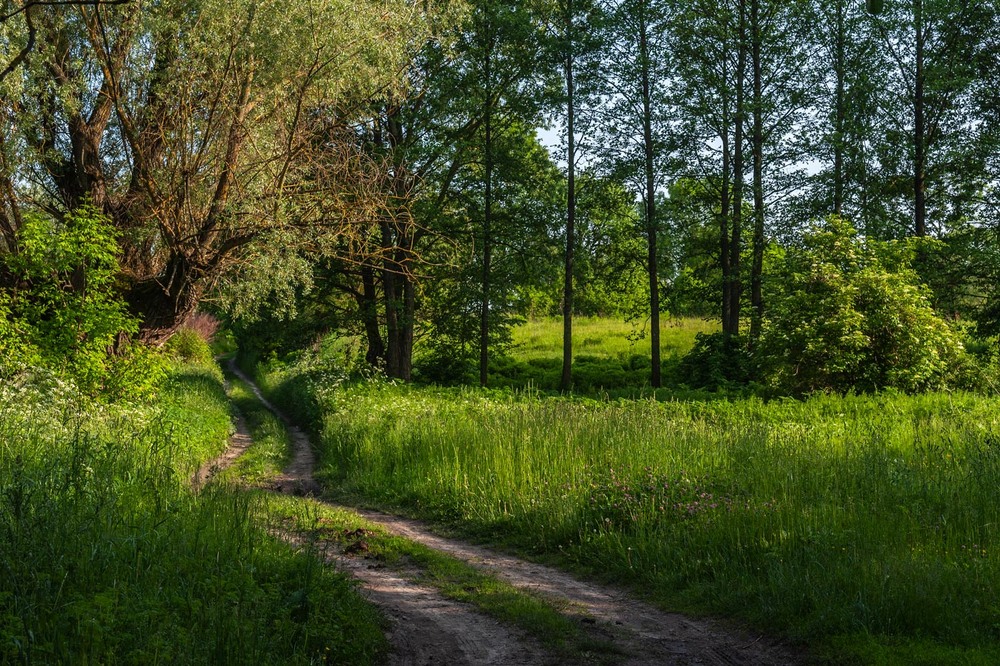 Фотографія забута дорога... / Володимир Карчевський / photographers.ua