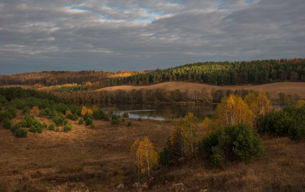 Фотографія осінь в Кременецьких горах / Володимир Карчевський / photographers.ua