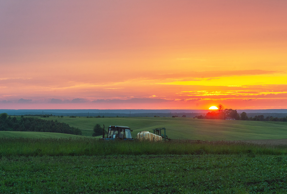 Фотографія Польові роботи.. / Володимир Карчевський / photographers.ua