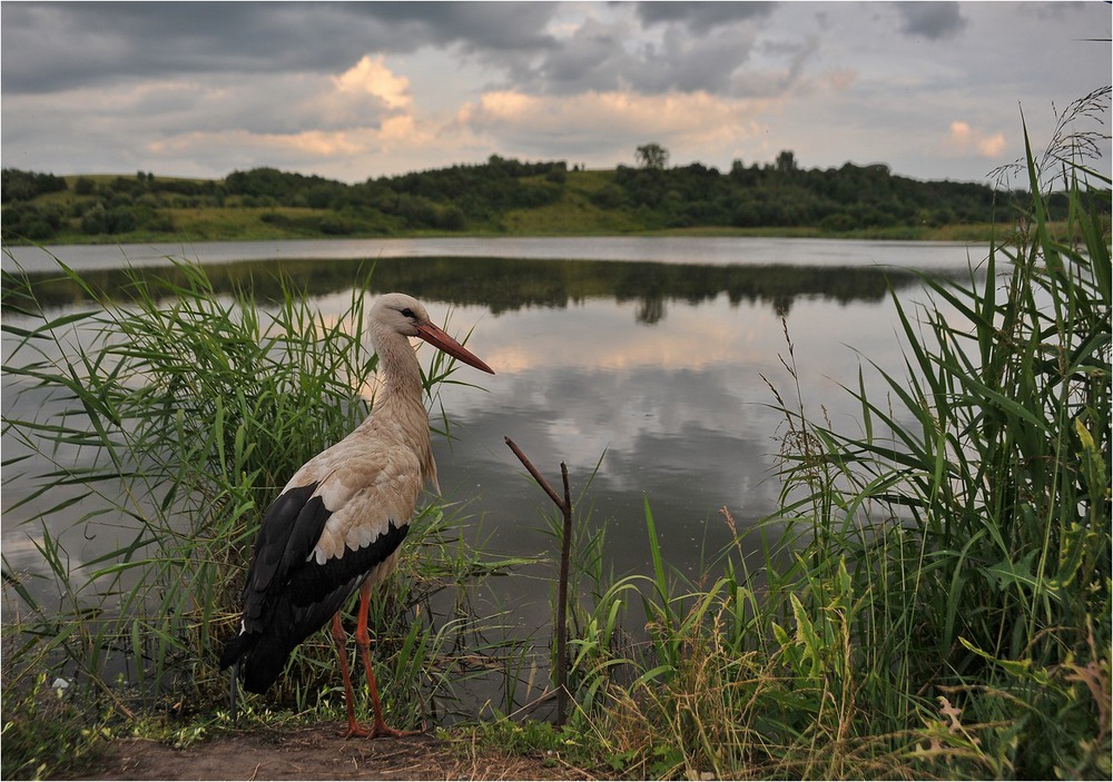 Фотографія Пейзаж / Володимир Карчевський / photographers.ua