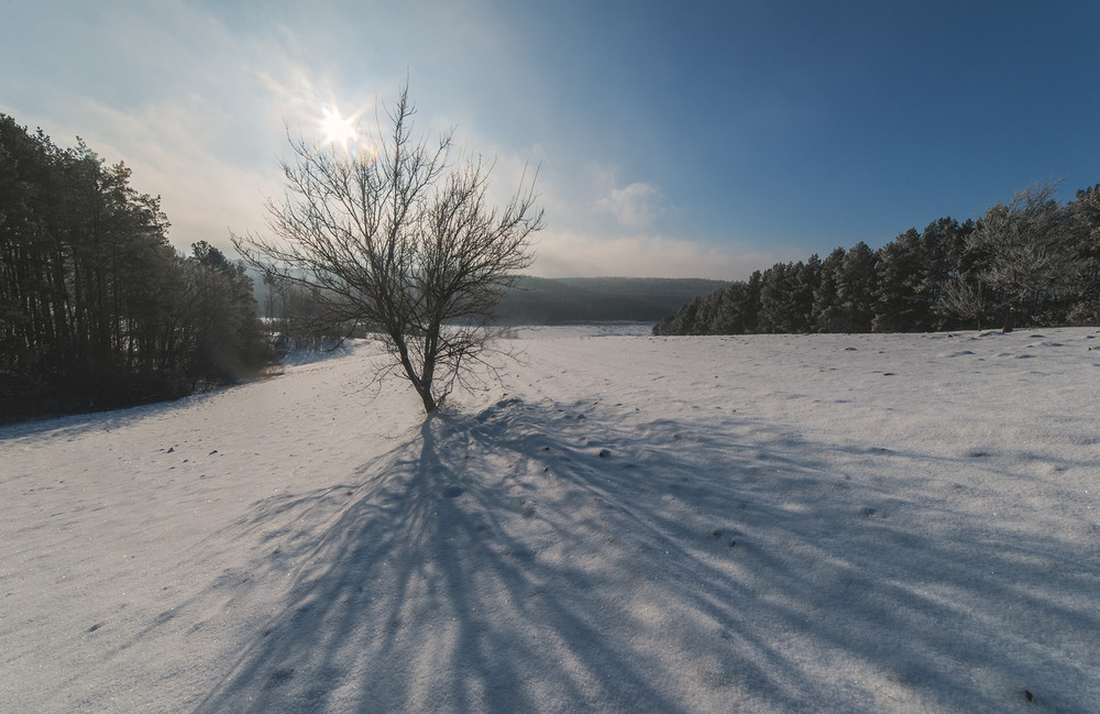 Фотографія З Новим Роком! / Володимир Карчевський / photographers.ua