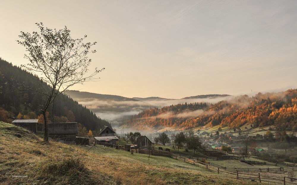 Фотографія *** / Володимир Карчевський / photographers.ua