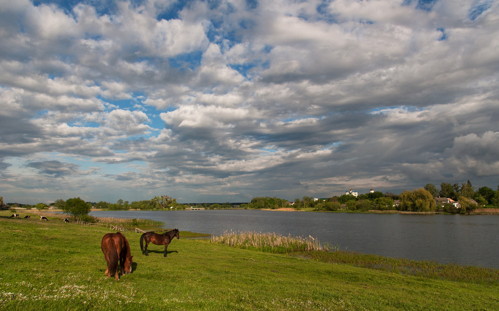 Фотографія На березі,біля тихої ріки... / Володимир Карчевський / photographers.ua