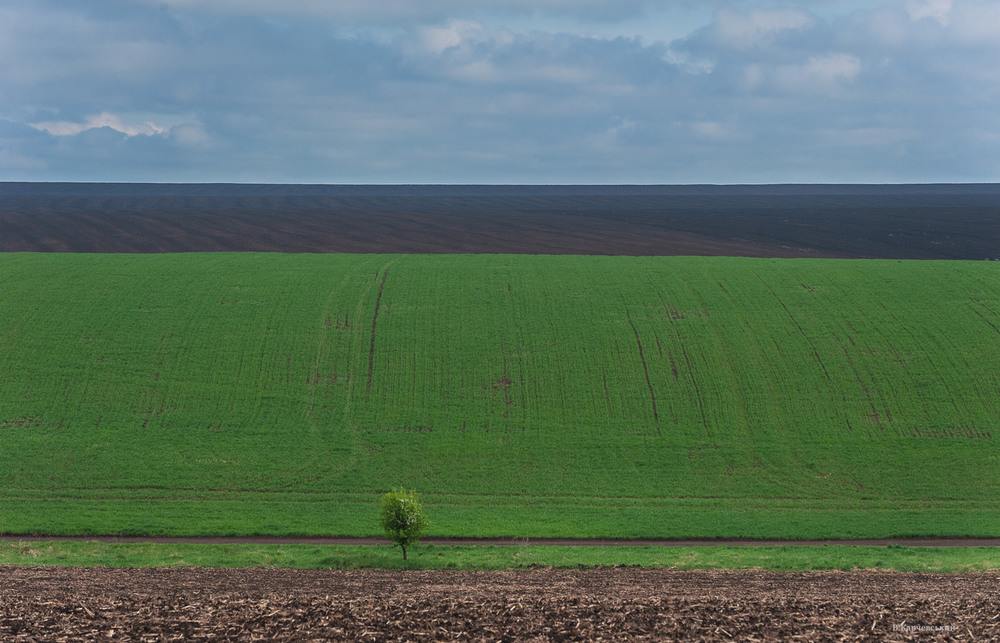 Фотографія Пейзаж / Володимир Карчевський / photographers.ua