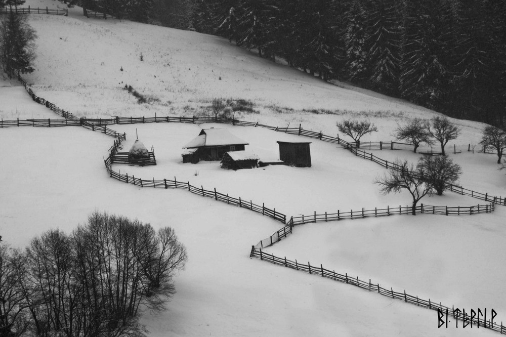 Фотографія Зимовий сон / Вітергір / photographers.ua