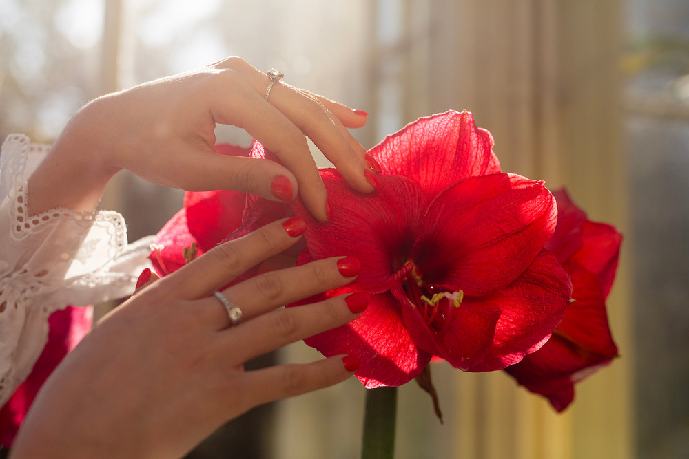 Фотографія Квітка / Maryna Nazina / photographers.ua