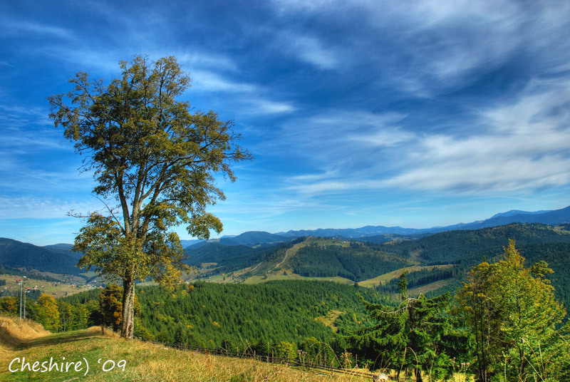 Фотографія W Landscapes / Cheshire) / photographers.ua