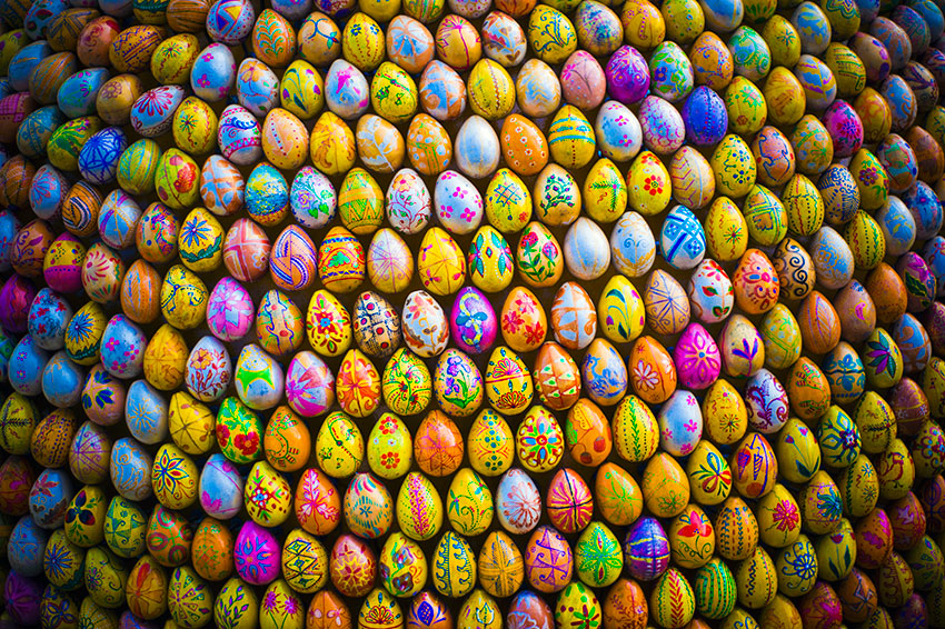 Фотографія egg colour / Cheshire) / photographers.ua