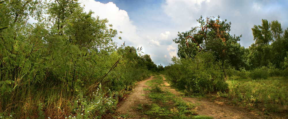 Фотографія Country road / Virf / photographers.ua